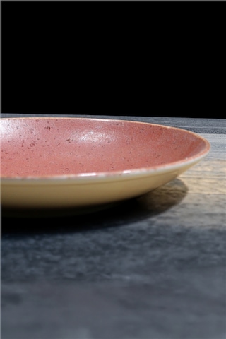 6 Lı 25 Cm Rosa Desenli Porselen Çukur Tabak Şık Sunum Ve Servis Tabağı Beyaz