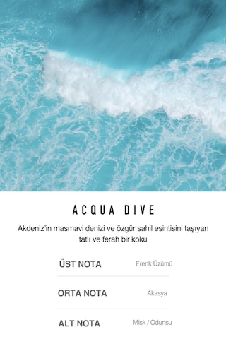 Hafif Odunsu Ve Tatlı Notalara Sahip, Krem Formda Unisex Parfüm Dashu Acqua Dive Solid Perfume Aromatik - Odunsu