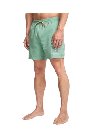 Bıllabong Billabong Foundation Lb Erkek Yeşil Volley Short Ggv0
