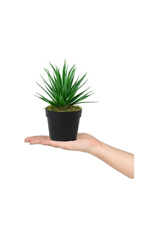 3 Adet Siyah Mini Plastik Saksıda Yapay Aloe Vera Çiçeği