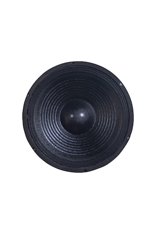 Westa Wp-1245 12'' 300 Watt Çıplak Hoparlör