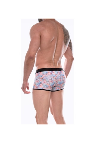 Erkek Çok Renkli Fantezi Giyim Desenli Boxer Hf072205