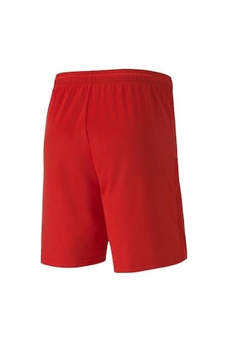 Puma 704262 Team Goal 23 Knıt Shorts Kırmızı 001