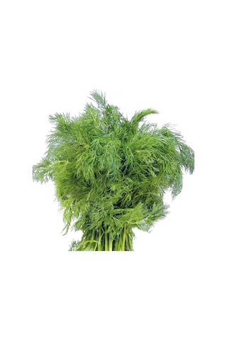 Bol Kokulu Dereotu Tohumu 250