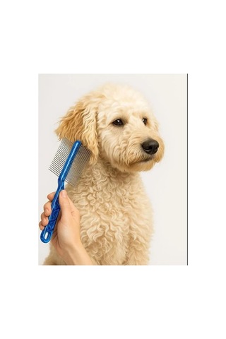 Patibon Çift Taraflı Metal Pinli Kedi Ve Köpek Kıtık Açıcı Tüy Bakım Tarağı
