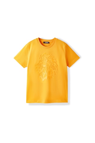 Gsstore Galatasaray Kadın T-shirt K252099 Sarı