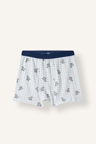 Defacto Dinozor Baskılı Penye 3lü Boxer Erkek Çocuk I4097a826auwt34 Beyaz-wt34