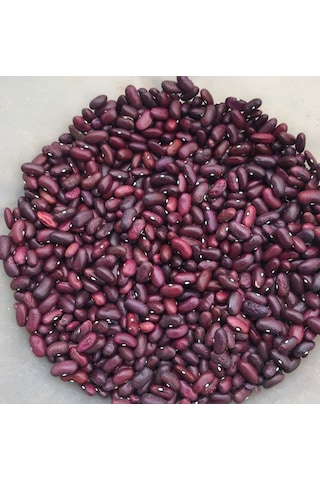 Yerli Tokat Kızılı Sırık Fasulye Tohumu 100 GR N114795