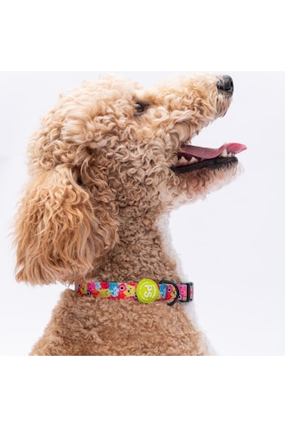 Monsters Canavar Desenli Köpek Boyun Tasması Ayarlanabilir Köpek Tasması Çok Renkli