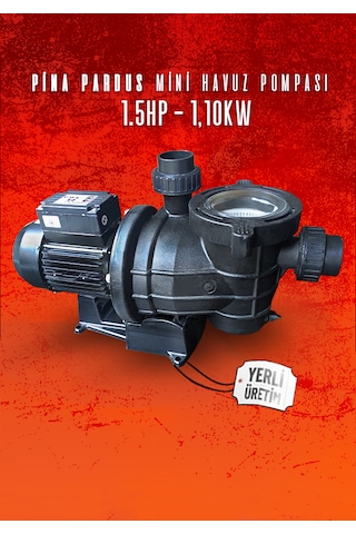 Pina Önfiltreli Havuz Pompası 150m 50mm 220v