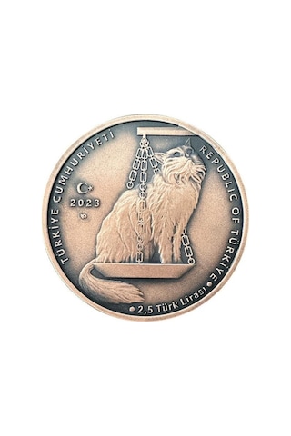 Agakulche Nasreddin Hoca Bronz Sikke Coin