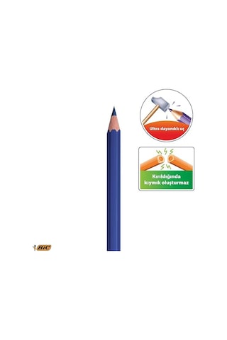 Bıc Evolution Kuru Boya Kalemi Seti, 12+1 Renk, Metal Tüp, Dayanıklı Ve Canlı Renkler Çok Renkli