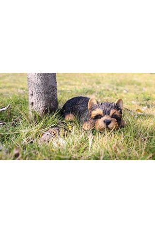 Hi- 87710-m Yorkshire Terrier Köpek Uyuyan Evcil Hayvan Dostları Heykeli Siyah Diğer