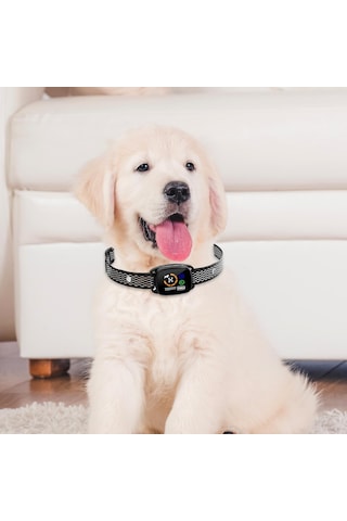 Homyl Akıllı Anti Havlama Tasması Köpek Küçük Orta Büyük