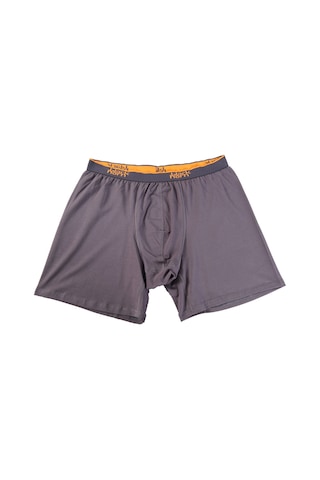 Black Horn Büyük Beden Boxer Battal Boy Likralı Boxer Gri