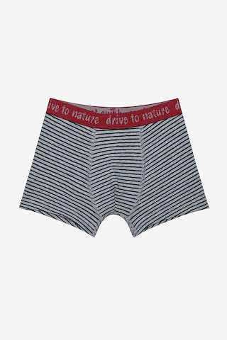 Penti Erkek Çocuk Drive To Nature 2li Çok Renkli Boxer Çok Renkli Çok Renkli