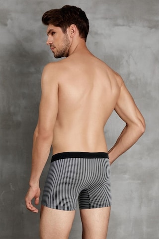 Doreanse 1866 Erkek Modal Çizgi Desenli Lacivert Boxer