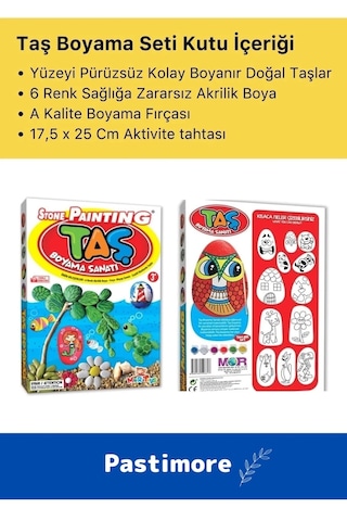3 Yaş Üstü Çocuklar Için Zeka Geliştirici 6 Renk Akrilik Boyalı Fırçalı Taş Boyama Aktivite Seti