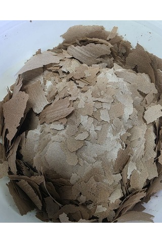 Prodac Garlic Fish Flakes 100gr Açık
