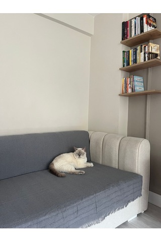 Koltuk Örtüsü Pamuk Balıksırtı Gri Koyu