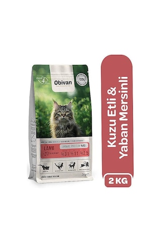 Obivan Kuzu Etli Ve Yaban Mersinli Yetişkin Kedi Maması 2 Kg