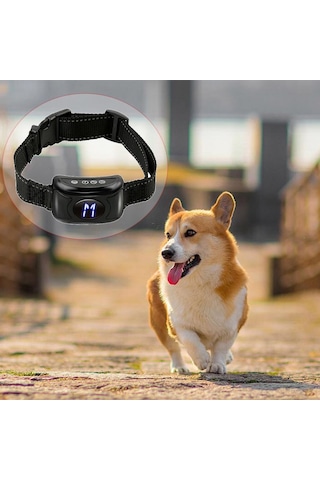 Suntek Köpek Şok Eğitim Tasması Su Geçirmez Şarj Siyah