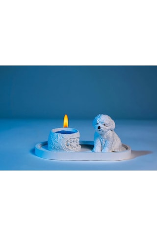 Sevimli Köpek Dekoratif Mumluk Set Çok Renkli