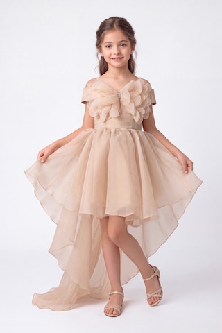Mnk Baby & Kids Kız Çocuk Kuyruklu Kristal Limni Abiye Elbise M00856 Pudra