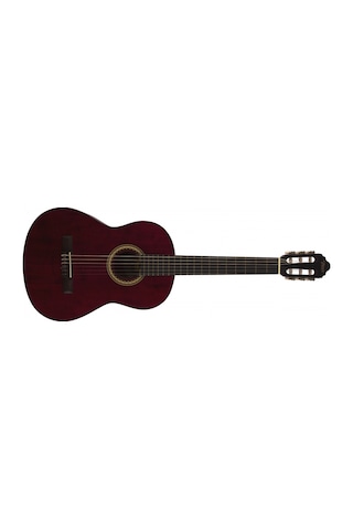 Valencia Vc204Twr Klasik Gitar Kılıf Pena