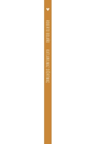 Katlanılmaz Sığırtmaç Roberto Bolano  - Can Yayınları