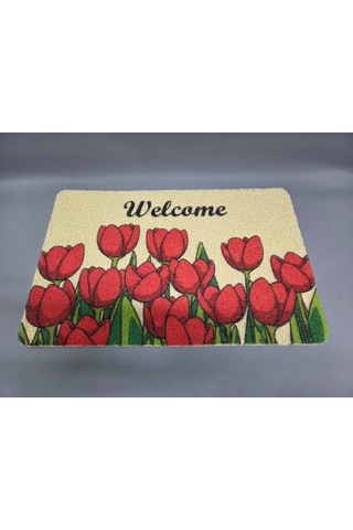 Hijyenik Kıvırcık Paspas 40x60 Cm - Islaklık Emici Kapı Önü Paspası Krem