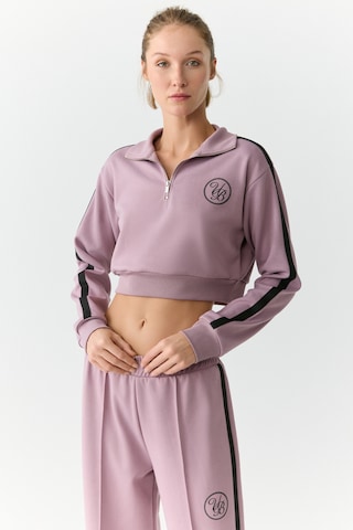 Urban Beat Helena Kadın Dik Yakalı Fermuarlı Küçük Baskı Motifli Crop Gül Kurusu Sweatshirt Gülkurusu