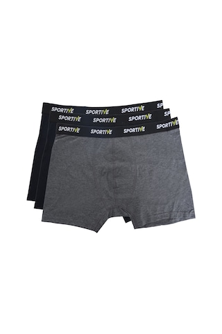 Sportive Spt Erkek Gri Günlük Stil 3'lü Boxer 24kbxr01-rnk 1658363 Gri