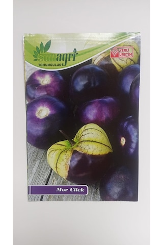 Bykurt Sunagri Mor Çilek Tohumu - 10 Adet Organik, Verimli, Lezzetli Mor Çilek Yetiştiriciliği 10 Adet