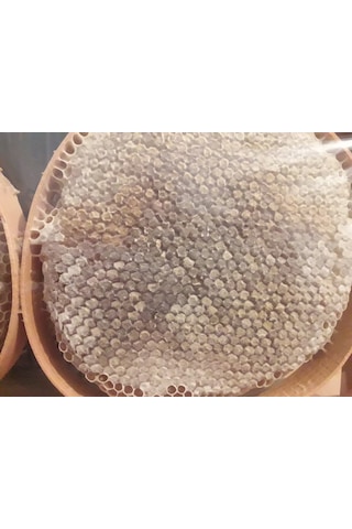 hizan kasnak karakovan balı