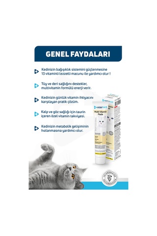 Onevet Multi Vitamin Paste Kedi Maltı 100 Gr