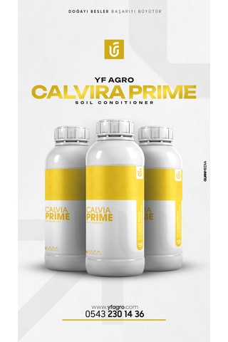 Yf Agro Calvıa Prıme 5 Lt Kalsiyum Asetat 5 KG