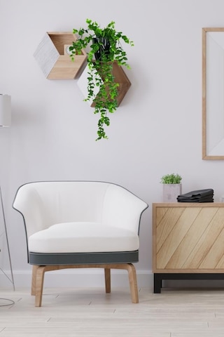 Yapay Çiçek Saksıda Sarkan Şimşir Okaliptus Yapay Sarmaşık 56cm Siyah Saksıda