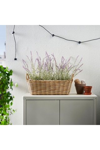 Flodbjörk Kahverengi 54x21 Cm Çiçeklik - 60612059 Ikea