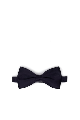 Pierre Cardin Erkek Lacivert Papyon 50262525-200 Lacivert