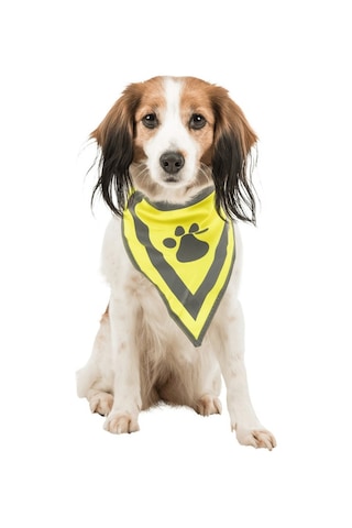 Trixie  Köpek  Bandanası  Xs-S  22-28  Cm