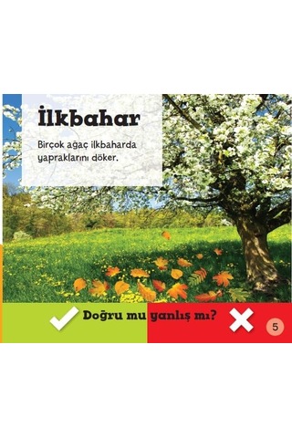 Doğru Mu Yanlış Mı - Mevsimler