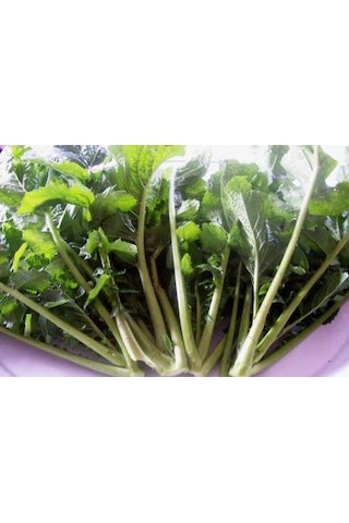 Doğal Hardal Otu Tohumu 100 Tohum