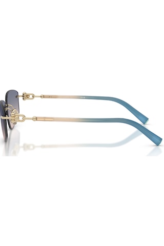 Tf 3114 619116 59 Tiffany & Co. Güneş Gözlüğü Siyah
