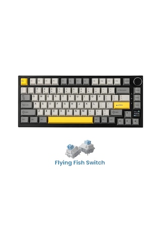 Ak820 Pro Mekanik Oyun Klavyesi,3 Modlu Tft Renkli Ekran Ve Cnc Düğmeli 81 Tuş,rgb Aydınlatma