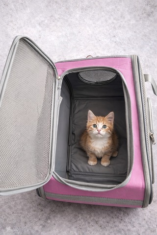 Premium Fileli Nefes Alabilir Pembe Kedi Taşıma Çantası