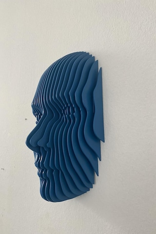 Flatform Echo Parametrik Yüz Duvar Dekoru 3d Katmanlı Modern Duvar Heykeli Diğer