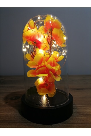 Orkide Çiçek Işıksevgiliye Anneler Gününe Özel Hediye Canım Annem