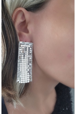 Arpa Pullu Taşlı Gümüş Silver Renk Küpe Gümüş