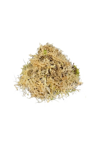 Sphagnum Yosunu 10 Lt